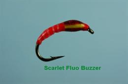 Scarlet Fluo Buzzer